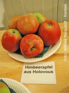 Himbeerapfel-aus-Holovous