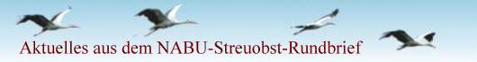 Streuobst-Rundbrief des NABU Streuobst-Rundbrief des NABU