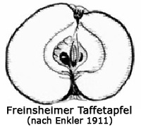 Freinsheimer-Taffetapfel Freinsheimer-Taffetapfel