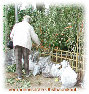 Obstbaumkauf Obstbaumkauf