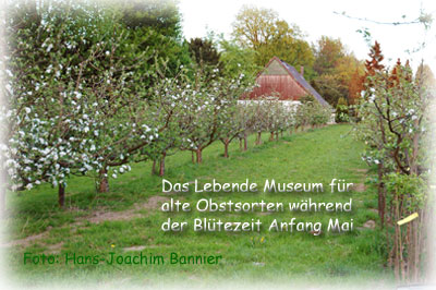 Obstsortenmuseum in Bielefeld