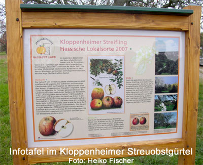 Infotafel