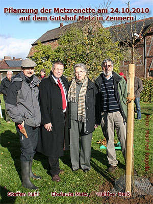 Pflanzung_Metzrenette Pflanzung_Metzrenette