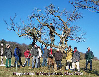 PflegeaktionOberjosbach,03-2010